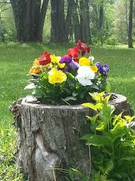 Check spelling or type a new query. 19 Blazing Tree Stump Planter Ideas That Ll Impress You Balcony Garden Web
