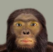 According to the newest trend of natural history