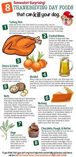 Pin By Megan Elizabeth On Adorable Animals Pets Dog Food Recipes Pet Hacks Thanksgiving Recipes