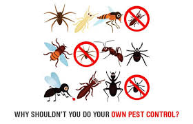 The latest version released by its developer is 1.399. Reasons To Avoid Diy Pest Control