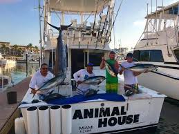 Pin By Pv Sportfishing Puerto Vallar On Puerto Vallarta Fishing Report Puerto Vallarta Vallarta Sport Fishing