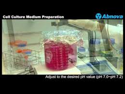 Contents preface vii abbreviations xvii dry heat sterilization 2.6 2.4 moist heat sterilization 2.7 2.5 work surface and flooring 2.8 2.6 plastic wares and consumable 2.8 2.7 care. Cell Culture Medium Preparation Youtube