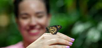 FILM: Julia & WWF spanar in coola djur