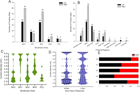 Mai jos sunt ofertele participanților, documentele la oferte le puteți vedea făcând clic pe simbolul mapei. Functional Characteristics Of The Human Primary Somatosensory Cortex An Electrostimulation Study Epilepsy Behavior
