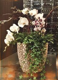 Large Arrangement At Bymark Restaurant By Mcewan Floral Using Potted Orchids Ferns Orchid Flower Arrangements Flower Arrangements Simple Orchid Arrangements