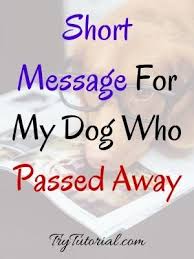 I guess you don't really own a dog, you rent them, and you have to be thankful that you had a long lease. 66 Heartbreaking Dog Death Quotes To Deal With Grief 2021 Trytutorial