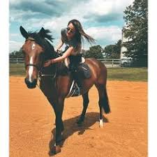 Jessica rae springsteen is an american equestrian. 17 Jessica Springsteen Ideas Bruce Springsteen Jessica E Street Band