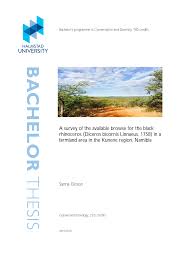 Image result for Petalidium englerianum