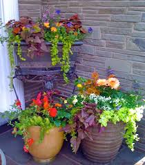 Home Ideas Review In 2020 Front Porch Flowers Patio Flowers Porch Flowers