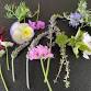 Edible Flowers - Beyond the Beauty event image