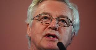 Former minister David Davis to launch Lucy Letby conviction probe after  experts cast doubt