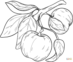 Maybe you would like to learn more about one of these? Epal Pokok Epal Mewarnai Anak Anak Cetak