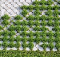 Grass Block Pavers: Everything You Need to Know for a Driveway