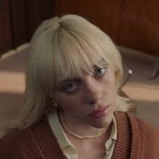 mg ⸆⸉ (@mirrorbilllie)