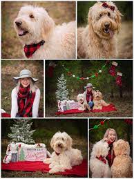Family Christmas Pictures Ideas With Dogs Outdoor In Cedar Trees With Christmas Props Photos T Dog Christmas Card Dog Christmas Pictures Christmas Pet Photos