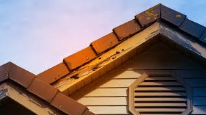 Mcgrath pest control service provides complete residential and commercial pest control for metro houston. Should You Buy A House With Termite Damage Realtor Com