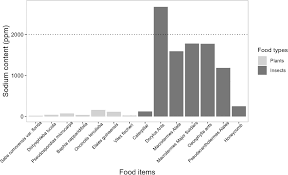 Image result for Dictyophleba lucida