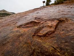 Red fleet state park is home of numerous dinosaur tracks. Dinosaur Tracks Utah Red Fleet State Park Visit Utah