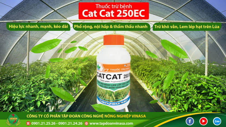 Catcat 250EC