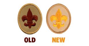 Explain the significance of the first class scout badge. Zikavdl055 6 M