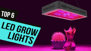 Best hydroponic vegetables to grow at home. Top 6 Best Led Grow Lights 2020 Light Strips For Vegetables Houseplants Youtube