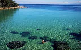 Paperbark Camp In New South Wales Australia Camps Lodges Australia Travel Places To Travel New South Wales