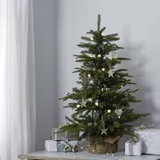 Check spelling or type a new query. Fir Christmas Tree 3ft From The White Company Christmas Decorations Fir Christmas Tree Holiday Christmas Tree