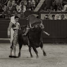 Sol y Sombra: Matadors: Alejandro Talavante