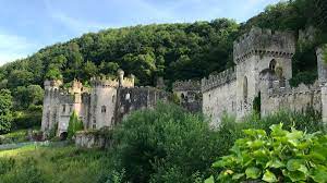 Get me out of here! Gwrych Castle I M A Celebrity 2020 Being Filmed In Abergele Wales Wales Online