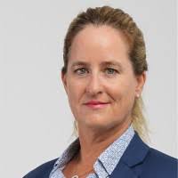 E-mail e telefone de Amir Nessim