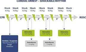 Learn vocabulary, terms and more with flashcards, games and other study tools. Event Driven Design Of A Resuscitation App Informedica