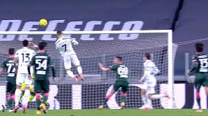 Последние твиты от cristiano ronaldo (@cristiano). Cristiano Ronaldo Lasst Katze Zur Behandlung Per Privatjet Fliegen