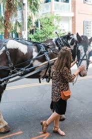 Carolina polo & carriage company can be abbreviated as cpcc. 9 Worth It Charleston Tours To Spice Up Your Vacation With Photos