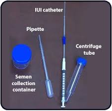 Each individual iui has a relatively low probability of success, but overall, the success rate is high. Iui Treatment Artificial Insemination Procedure For Pregnancy Mumbai Ankoor Fertility Clinic