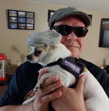 Who are we shipping packages with and having good experience this time of  year?