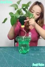 20 Ways To Reuse And Recycle Empty Plastic Bottles Bottles Creative Empty Plastic Recycle Recycle Plastic Kendin Yap Ev Icin Elisleri Ev Elisleri Bitki