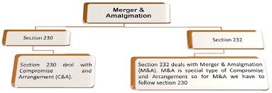 The effective date turned out to be june 23, 2016. Merger And Amalgamation Under Companies Act 2013