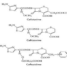 Fifth Generation Cephalosporins Download Scientific Diagram