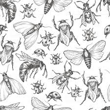 Black And White Insect Drawings Hand Drawn Vector Pattern With Insects In Different Poses Moth Bugs Drawing Insect Art Drawings