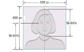 You cannot submit a damaged photo with holes, creases, or smudges Photo Composition Template