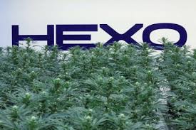 Hexo stock was down 63.8% as of noon friday. Hexo Corp Hexo Stock Forums Investing Com