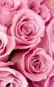 45 free romantic wallpaper downloads fond d ecran colore fleur rose pastel coloriage citrouille dltk
