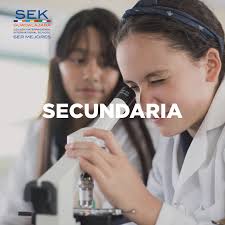 Vive una educación...