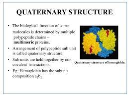 Protein structure (foundation block) dr. Protein Structure Details