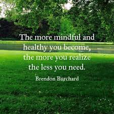 Here are 9 brendon burchard quotes on success. The More Mindful And Healthy You Become The More You Realize The Less You Need Courtesy Brendon Burchard Min Brendon Burchard Quotes Brendon Burchard Quotes