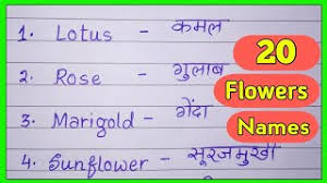 101 मजेदार रोचक तथ्य interesting facts | rochak jankariya in hindi. Best Of Flower Name In Hindi With Picture Free Watch Download Todaypk