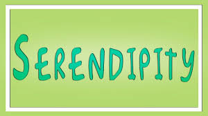 Serendipity Definition Learn English The Free Dictionary English Words Learn English Serendipity Definition