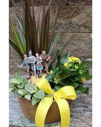 We did not find results for: Yellow Brick Road European Garden By Alfa In Milwaukee Wi Alfa Flower Shop