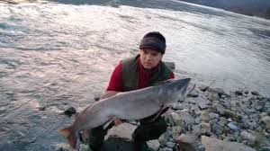 Zima je kao stvoreno godišnje doba za lov ove grabljivice. Vladan Rakic Mladica Drina Gde Na Pecanje