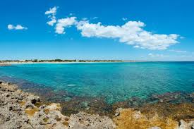 Image result for Monadenium torrei